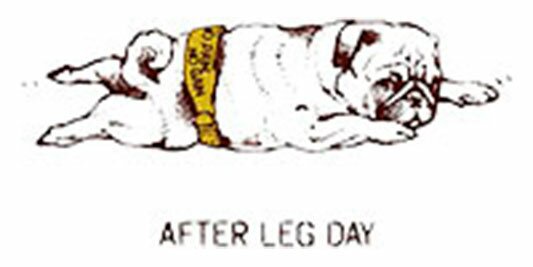 After leg day