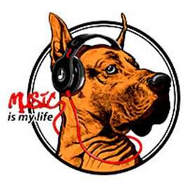 Music is my life