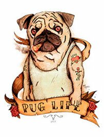 Pug life, собака